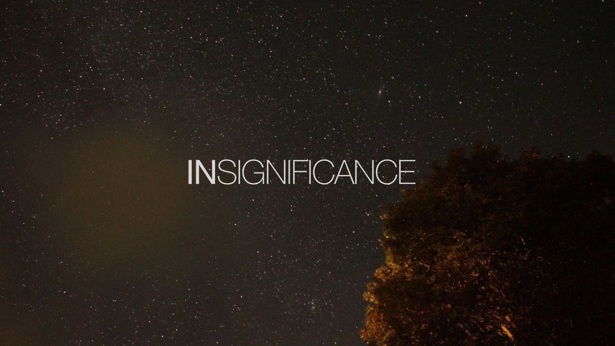 Insignificance in Life~
